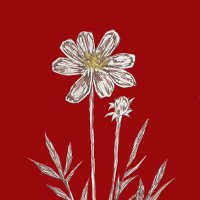 あかぷりん (@akapurin219271) 's Twitter Profile Photo