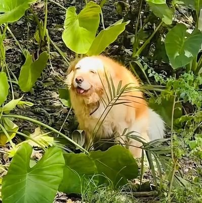 🤨さんのプロフィール画像