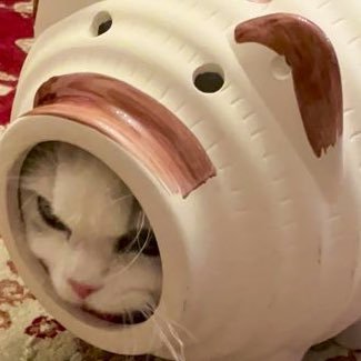 J3Go7's profile picture. tus ms 🚹無言フォロー失礼します #春から理科大