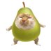 lepear (@squirrel_onbush) Twitter profile photo lepear (@squirrel_onbush) Twitter profile photo
