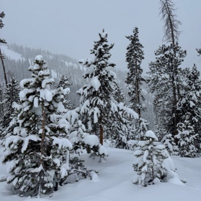 rlaalswl_111's profile picture. 