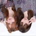 ぷにぷにみぞれちゃん♡ (@mizore_npas) Twitter profile photo ぷにぷにみぞれちゃん♡ (@mizore_npas) Twitter profile photo