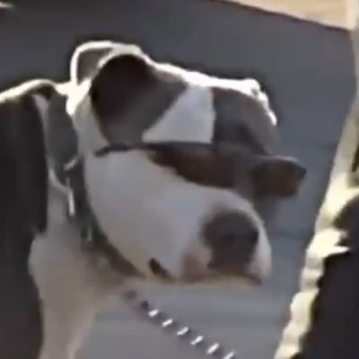 GregNebula's profile picture. $HEGE