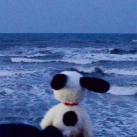 sean (@notssean) 's Twitter Profile