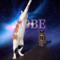 SOBE☆そべちゃんと呼んでね (@sobecgallery) 's Twitter Profile