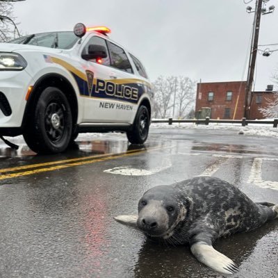 Sealguy32's profile picture. “Don’t dwell on the past when you have the present.”