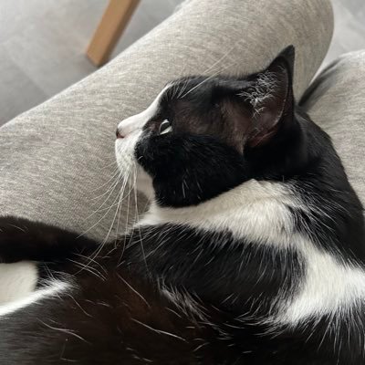 Noah120612's profile picture. PCPAD Fortnite➡️ ƝƍᶐɧӜ /HU教育 スポーツ健康