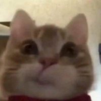 . (@euphorips) 's Twitter Profile