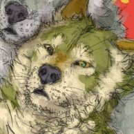 香恵-Kyowe- (@kyowethefury) 's Twitter Profile Photo 香恵-Kyowe- (@kyowethefury) 's Twitter Profile Photo