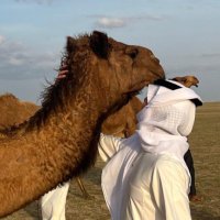 أ.سلمان الحالوب (@s7alob) Twitter profile photo