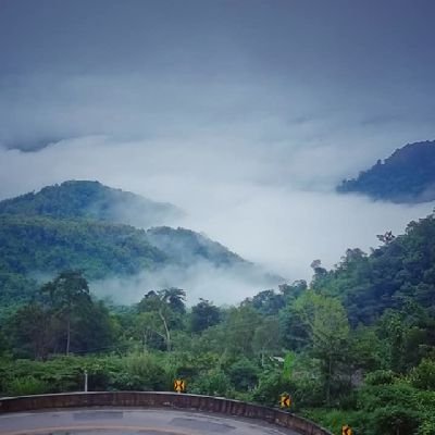 AnuchaTech's profile picture. 