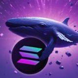 whale_sol72's profile picture. NFT Collector | DM For promo 📥 | Community Building & Marketing