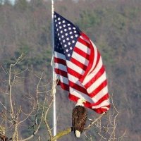 Allan McCormick🇺🇸 (@allan2103) 's Twitter Profile
