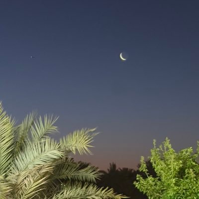 SanMateoMilker's profile picture. 