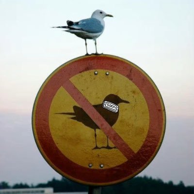 thdksr's profile picture. 