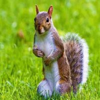 Nature Life Ok (@naturelifeok1) 's Twitter Profile Photo Nature Life Ok (@naturelifeok1) 's Twitter Profile Photo
