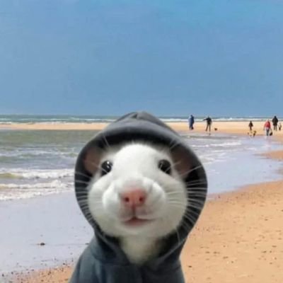 alwaysaugst_s's profile picture. Waktu tidak bisa diputar, dijilat, bahkan dicelupin