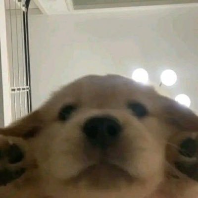 wawer23's profile picture. 