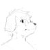 SadFas90 (@sadfas90_zapper) Twitter profile photo SadFas90 (@sadfas90_zapper) Twitter profile photo