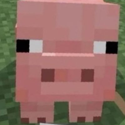 user19372998's profile picture. 