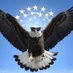 Comfort Eagle (@comforteagle1) Twitter profile photo Comfort Eagle (@comforteagle1) Twitter profile photo