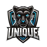 Unique Esports (@unique_esportsx) 's Twitter Profile