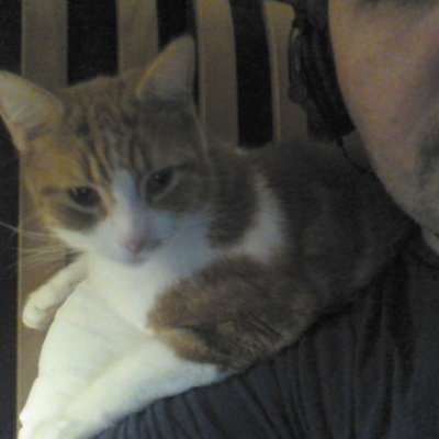 newcwriter's profile picture. 