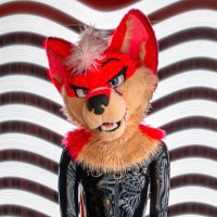 ππ―π½π πΉππ π»ππππ 18+ (@asufoxxx) 's Twitter Profile