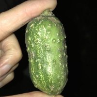 smallguy (@smallguyagain) 's Twitter Profile