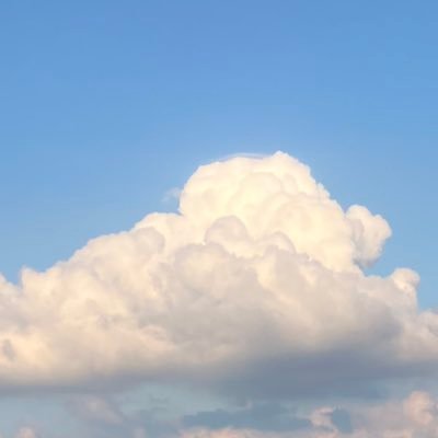 godgodofniwaka's profile picture. 本の感想