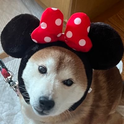 mizumura0's profile picture.