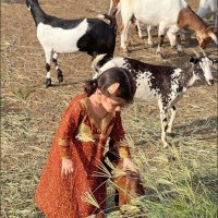 سُرى (@a_1amo) Twitter profile photo