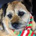 Jack’s Dubious Almanac 🏴🇮🇨 (@lodgiecanarias) Twitter profile photo Jack’s Dubious Almanac 🏴🇮🇨 (@lodgiecanarias) Twitter profile photo