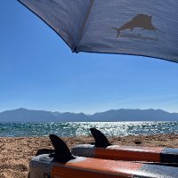 Mathew (@mrnuu) 's Twitter Profile Photo