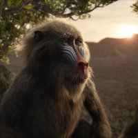 Arap Barsumei (@barsumeii) Twitter profile photo