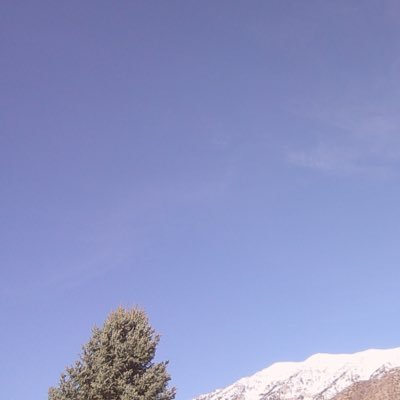 gorillaaagirl's profile picture. 