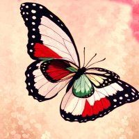 Aischath Imthi π (@imthischal) 's Twitter Profile