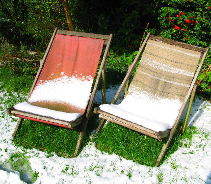 woodyplants's profile picture. sentient mental