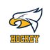 Hudsonville Hockey (@hudsyhockey) Twitter profile photo Hudsonville Hockey (@hudsyhockey) Twitter profile photo