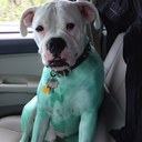 Alan McArthur - @amcarthur25 - Twitter