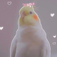 ƒαιzα🫧 (@editwhimsy) 's Twitter Profile