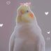 ƒαιzα🫧 (@editwhimsy) Twitter profile photo ƒαιzα🫧 (@editwhimsy) Twitter profile photo