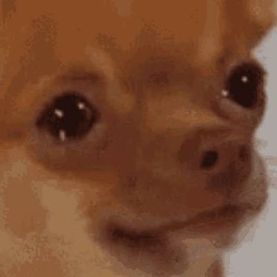 WisdomJeq's profile picture. 