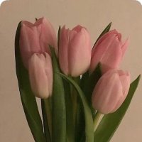 -🌷 (@7sm_7i) 's Twitter Profile