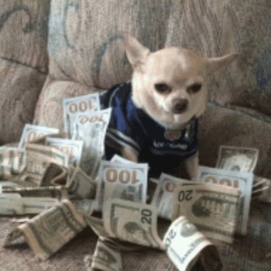solamilami's profile picture. $$$ gimme sum that sol $$$ class of 21 $$ tech bro turned degen $$$ 3 dollaz gang $$$ where you at $$$ doggo lover $$$ not bodoggos $$$