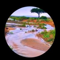 الحمد الله (@alraydaldossari) 's Twitter Profile Photo