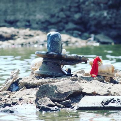 ssp_suraj's profile picture. 