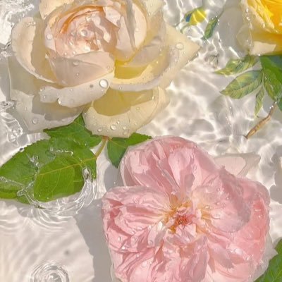 mrmrppcc's profile picture. 