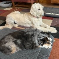 Marian Clough (@marian_clough) 's Twitter Profile Photo Marian Clough (@marian_clough) 's Twitter Profile Photo