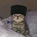 Klaus 🇦🇿 (@klhanu) Twitter profile photo Klaus 🇦🇿 (@klhanu) Twitter profile photo